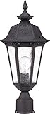 Nuvo 60/2039 Post Lantern with Seeded Mist Glass, Satin Iron Ore, Medium [並行輸入品]