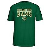 NCAA学校名overロゴChoice Tee L グリーン