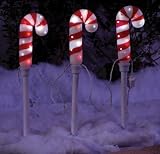 Gemmy Imports 82526 Candy Cane Path Markers [並行輸入品]