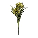 IMAX 70585 Essentials Floral Bundle, Green Apple [並行輸入品]