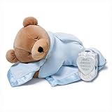 出産祝 Prince Lionheart  プリンス ライオンハート スランバーベアー Blue ブルー