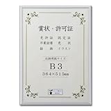 大仙 額縁 賞状額 オールライト アルミ B3 J091B4401