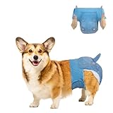 Dono 犬 おむつ 女の子用 男の子用 デニム風 犬オムツ 360°幅広伸縮ウエストバンド付きおむつカバー 漏れない 通気性 長時間 使い捨てマナーパンツ 発情期 生理 介護用 おしっこ吸収 おむつウェア 超小型犬 小型犬 中型犬 猫用 紙おむつ XLサイズ 10枚入り