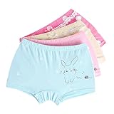 JIEYAベイビーガールズコットンアンダーウェアドットプリントブリーフブルマー、4または6パック (2-3years, 4pack2)