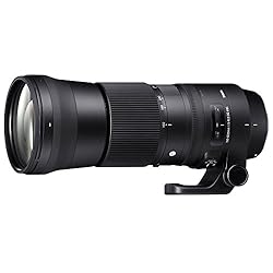 SIGMA 望遠ズームレンズ Contemporary 150-600mm F5-6.3 DG OS HSM ニコン用 745554