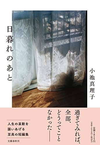 小池真理子:日暮れのあと