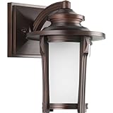 Progress Lighting P5980-97 Pedigree Collection 1-Light Wall Lantern Autumn Haze [並行輸入品]