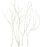 azi-azi ドライツリー ホワイト 5本入 DL-133