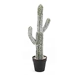 [roomnhome] サボテン 造花 メキシカンサボテン インテリアサボテン ホームデコ (L, A Type)