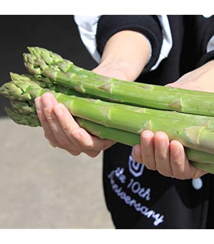 Amazon.co.jp: グリーンアスパラガス 北海道富良野産 4Lサイズ 極太