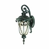 Yosemite Home Decor E519MDORB 1 Light Led Exterior with Clear Medium Sized Glass, Oil Rubbed Bronze 