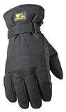 Wells Lamont Cold Weather Work Gloves, Insulated Duck Fabric, Large, Black (1075LK) [並行輸入品]