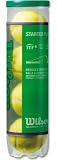 Wilson(ウイルソン) ジュニア・キッズ用 テニスボール スポンジボール STARTER GREEN(スターターグリーン) 4個入り イエローxグリーン WRT137400 ウィルソン