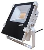 LED投光器30W 300W相当形(屋内外兼用) (5000K(昼白色))