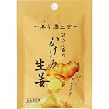 辻さん家のかける生姜 詰め替え用 6.5g