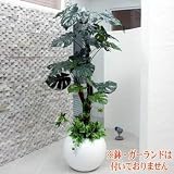人工観葉植物 光触媒 モンステラ 165cm