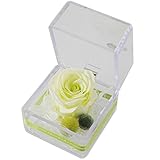 花由 プリザーブドフラワー プチプリザinキューブ フレッシュグリーン フラワーギフト ブリザードフラワー 誕生日プレゼント 女性 結婚祝い お祝い 花