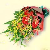 お祝い　花キューピットのグロリオサの花束