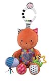 Rainbow Designs Amazing Baby Developmental Sound Kitty by Amazing Baby