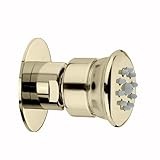 Jaclo S025-SN Select Nebulizing Body Spray, Satin Nickel [並行輸入品]