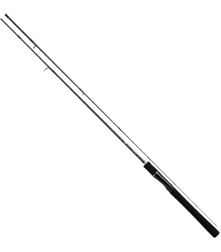 Amazon | ダイワ(DAIWA) 船竿 リーオマスター真鯛 M-300・W 釣り竿 