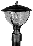 Special Lite Products Vista F-2910-BLK/CR Medium Post Mount Light, Black [並行輸入品]