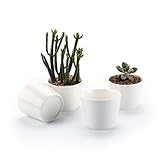 T4U 6.5CM 陶器ミニ植木鉢 白 ラウンド シンプルデザイン 多肉植物 サボテン鉢 フラワーポット プランター容器 4個入り
