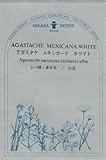 【種子】 アガスタケ（アガスターシェ） メキシカーナ ホワイト 三笠園芸　春まきの種アウトレットセール！（2018年1月期限切れ）