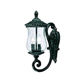 Alico Lighting 1171ST Acclaim Lighting Stone Finished Outdoor Sconce with Clear Melon Water Seeded G