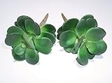 TomYumKung 2 x 8" Echeveria Picks, Artificial Succulents
