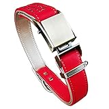 Beanspet 犬首輪 ワンタッチ 革 便利 楽 おしゃれ かわいい 犬 首輪 レザー 2重ロック (レッド, Lサイズ)