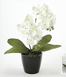 アートフラワー 造花 ミニオーキットW〔ミニタイプ〕フラワーアレンジメント インテリア 光触媒 花 スプレー インテリアグリーン 胡蝶蘭 消臭 大型