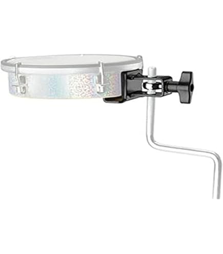 MEINL マイネル PA10ABS-BK パンデイロ ケース付き Amazon | MEINL Percussion マイネル パンデイロ Traditional