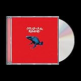 Intellectual Property - Waterparks