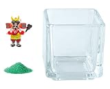花市場直送便 ミニチュアガラス 武田信玄 & カラーサンド グリーン & 植え込み用グラス ニューブロックS