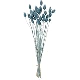 東京堂 ドライフラワー ポアプランツ(15g入り) FD042020-032