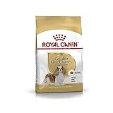 ロイヤルカナン BHN キャバリア キング チャールズ 成犬・高齢犬用 1.5kg