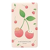 グランサンク カピバラさん USB出力 リチウムイオンポリマー充電器【チェリー】 4000mAh mkb-22-mono11