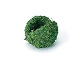 大地農園 フラワー資材 すごもりベース小・山ゴケ グリーン DO72974-700
