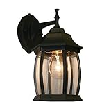 Z-Lite T20-BK 1-Light Outdoor Wall Light with Black Frame Finish, Clear Beveled [並行輸入品]