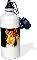 3dRose Sheltie Shetland SheepDog スポーツウォーターボトル 21オンス ホワイト
