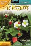 【FRANCHI社種子】【63/3】森の苺　Fragola di bosco