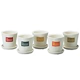 フラワーポット　3.5号　受け皿付き レッド