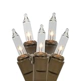 Northlight Seasonal Clear Mini Christmas Lights with 4" Spacing and Brown Wire, Set of 100 [並行輸入品]