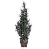 Vickerman AZTDX4230 Cedar Green Artificial Plant, 3-Feet [並行輸入品]