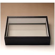 ブルメイアゲハ　標本　ガラスケース Amazon.co.jp: シーラ箱 （両面ガラスタイプ） 昆虫 標本用品 標本箱