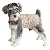 【獣医師監修】 いぬのくらし 犬用 腹巻き ペット シルク腹巻き 国産 冷え対策 伸縮性 長さ調整 小型犬 中型犬 冷え防止 ドッグウェア 