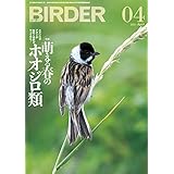 BIRDER(バーダー)2021年4月号 萌える春のホオジロ類