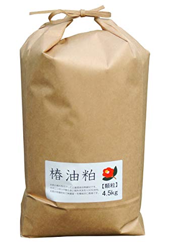 ナメクジを駆除して植物を守れ 家にあるもので簡単ナメクジ対策 生活110番ニュース