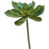 フェイク多肉グリーンEcheveriaロゼット4.5インチ